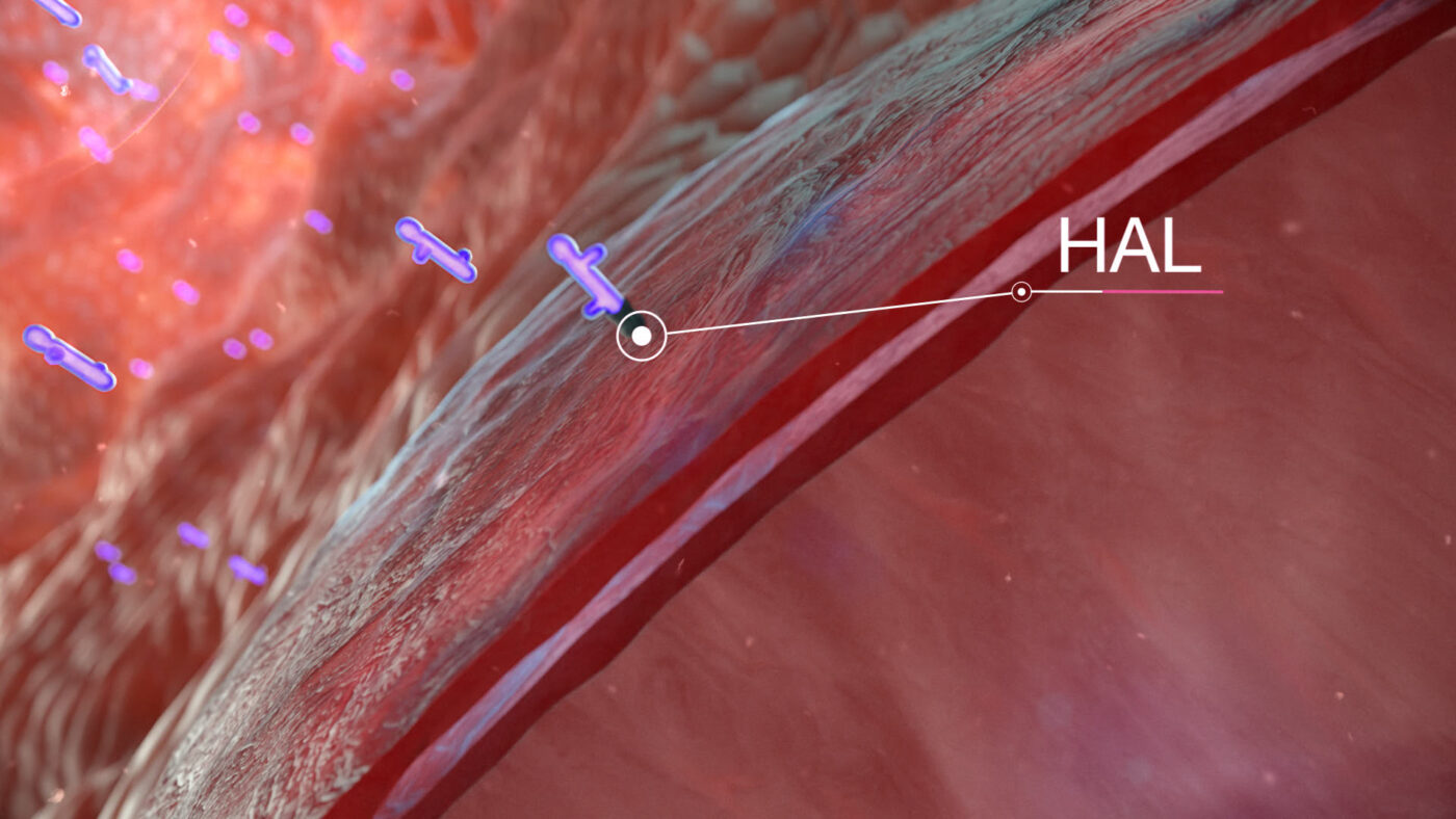 BLYNK Videoagentur Hexvix MOA 3D Animation Explainer