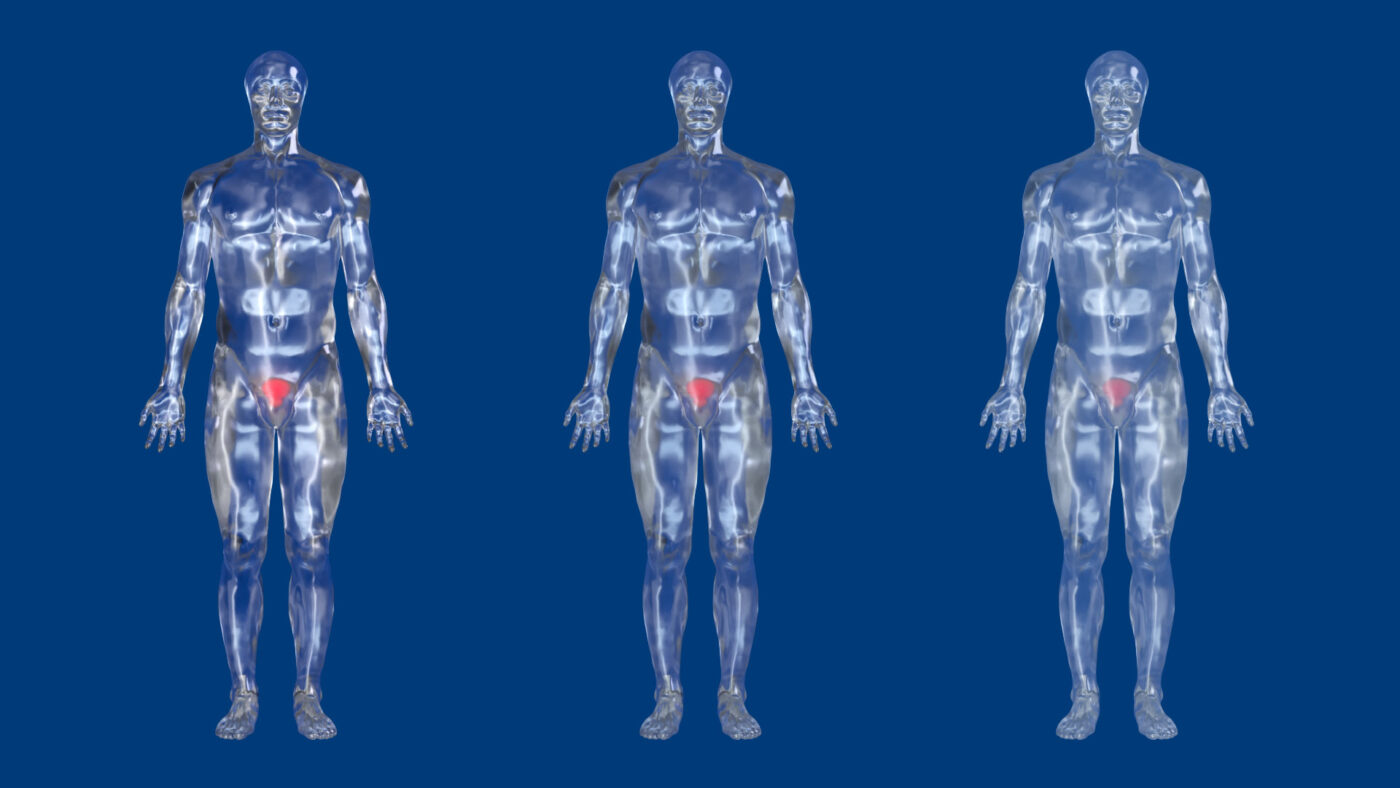 BLYNK Videoagentur Hexvix MOA Body Selection Styleframe Human